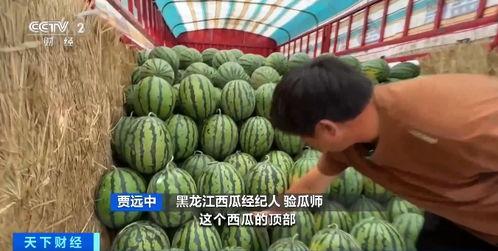 烨烨吃瓜,揭秘娱乐圈那些不为人知的幕后故事