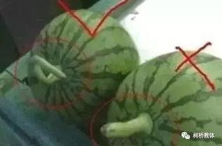 震惊真实吃瓜图片