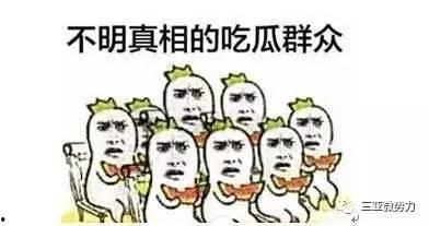 吃瓜来呀图片,吃瓜群众视角下的趣味瞬间